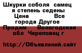 Шкурки соболя (самец) 1-я степень седены › Цена ­ 12 000 - Все города Другое » Продам   . Вологодская обл.,Череповец г.